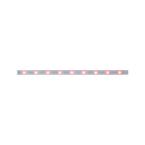  Ruban MaxLED250 recouvert 1m R 