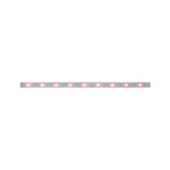  Ruban MaxLED250 recouvert 1m R 