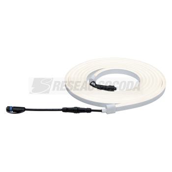  EXT P&S Ruban LED 5m 31W 24V I 