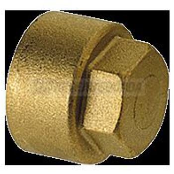  Bouchon laiton F3/4" porte co 