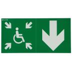  PICTOGRAMME DBR URALIFE V 