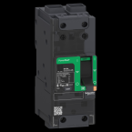  PPB 35KA TM50D 2P cosse 