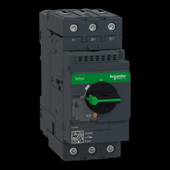  Disjoncteur 80A Everlink 