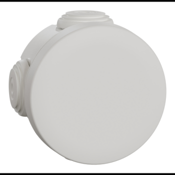  BTE DERIV EMBOUT D60 BLP 