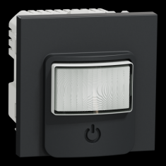  D�tecteur mouv + pous Anth 