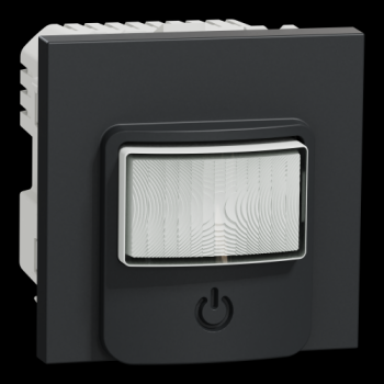  D�tecteur mouv + pous Anth 