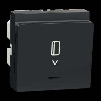  Cde � carte elect 10A 2m Anthr 