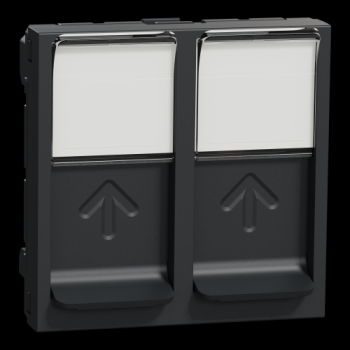  Prise 2 RJ45 S-One 2m Anth 