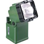  LAMPE PORTABLE TOPLUX 