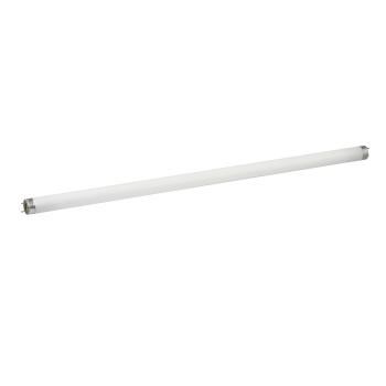  TUBE FLUO 18W 
