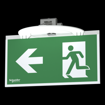  Exiway Smartbeam EVAC Dicube 