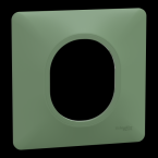  Plaque 1 poste Vert F 