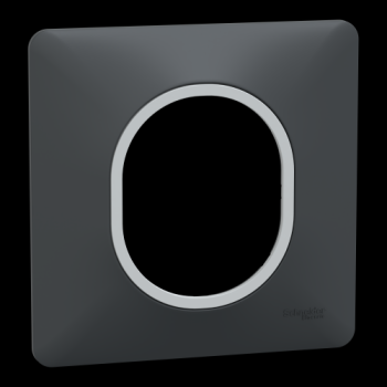  Plaque 1 poste Anth Argent C 