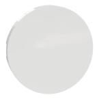  Odace 2011 BLC ENJO VV BP 