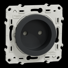  Odace 2011 PC 2P ANTH VIS RAP 