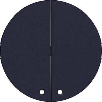  2 demi enjoliveur anthracite 