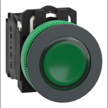  BP lum flush vert 1O+1F 24V 