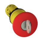  BPAUTRIGDIAM40CLE 455 2NC 
