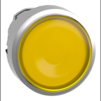  T�te bouton P P lumin affl O22 