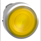  T�te B P lumin DEL aff S O22 J 