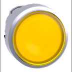  T�te B P lumin DEL aff L O22 J 