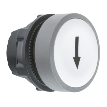  t�te BP O22 marqu� blanc 
