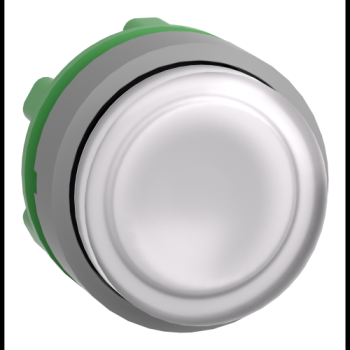  t�te BP pous-pous lumin blanc 