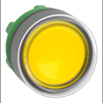  T�te B P lumin DEL aff C O22 J 
