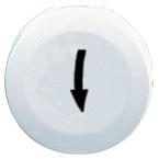  CAPSULE LISSE FLECHE BASS 
