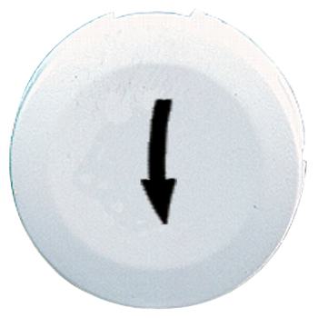  CAPSULE LISSE FLECHE BASS 