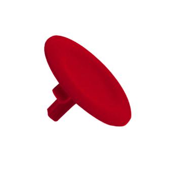  CAPSULE POUSS.AFFLEURANT 