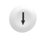  CAPSULE B P BLANC MARQ FL 