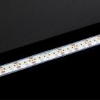  Ruban 1m 4000K 1251lm/m IP68 