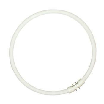  T5 CIRCLINE PLUS 40W/840 