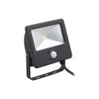  START FLOOD LED 800LM 10W 