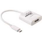  ADAPT. TYPE C -> DISPLAY PORT 