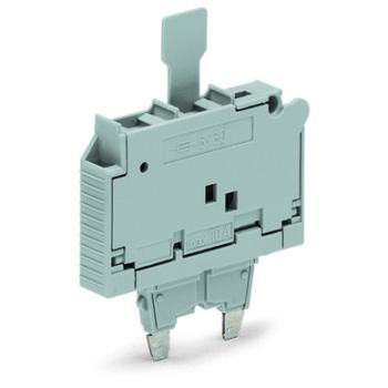  Fiche fusible/a/lang/p/cart/5x 