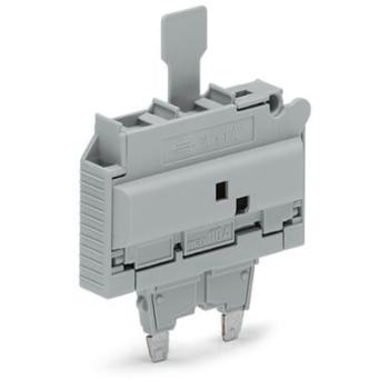  Si-hal.steckb.m.zugl.si1/4x1_1 