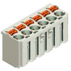  Conn.fem. CCS 2p 5mm 