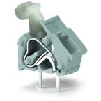  Borne modulaire pour CI  Bouto 
