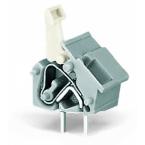  Borne modulaire CI Gris 10-10, 