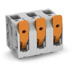  Borne pour CI  Levier 6mm², gr 