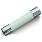  Cartouche type g,1/4x1'10a240v 