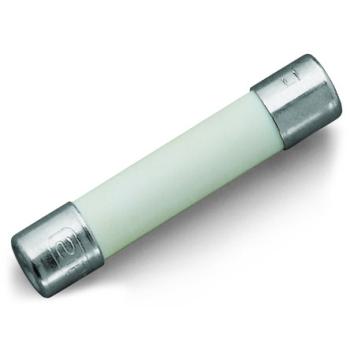  Cartouche type g,1/4x1'10a240v 