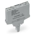  Relais enfichable 24 Vdc 1T 