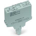  REL-IM DC 24V 