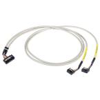  CORD WAGO 753 2xT8ES 1m 