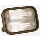  Projecteur exterieur 36W 